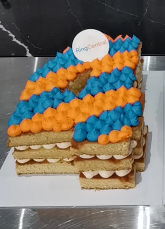 Large Choose Your Number Cake - Single Digit - feeds 50